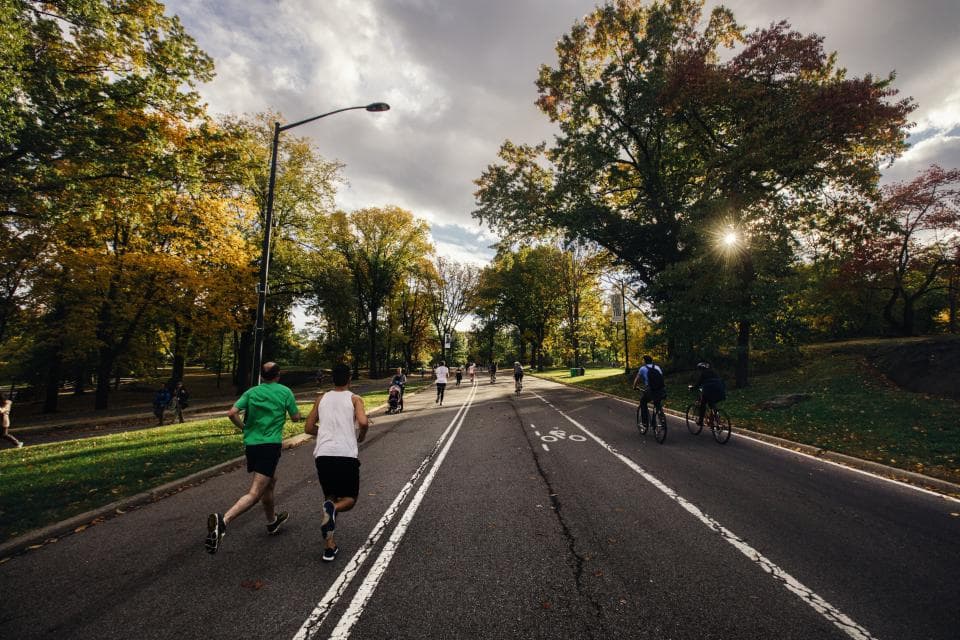 Group of runners in a park at sunset